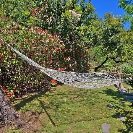 La Pineta - Country Luxury House. Portofino Park Apartamento Camogli