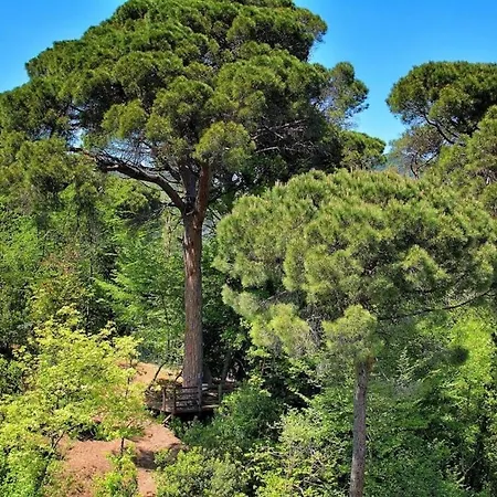 Apartment La Pineta - Country Luxury House. Portofino Park *
